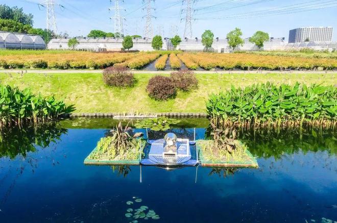 深耕城鄉(xiāng)水體污染治理，這位大學(xué)生的創(chuàng)業(yè)之路