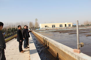 平邑縣審計局聚焦水污染治理項目 以專業審計護航生態攻堅成效