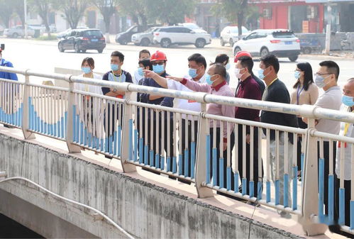 謝崗人大 強化監督職能，組織代表視察水污染治理工作